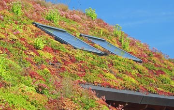 Tan Hinon living roof systems