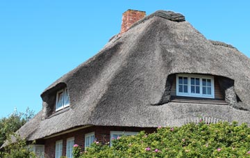 thatch roofing Tan Hinon, Powys